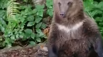 Képernyőkép 2021-09-22 072731