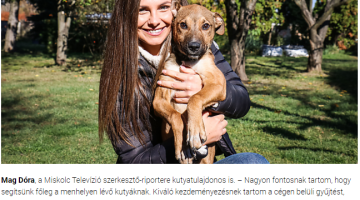Képernyőkép 2021-10-30 063602