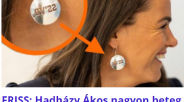 Képernyőkép 2021-11-15 100233