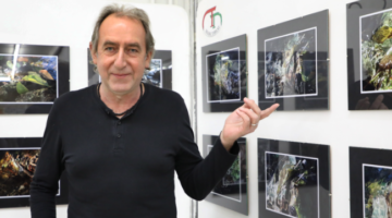 Képernyőkép 2022-01-26 062700