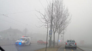 Képernyőkép 2022-02-10 112253