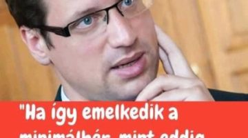 Képernyőkép 2022-02-15 111226