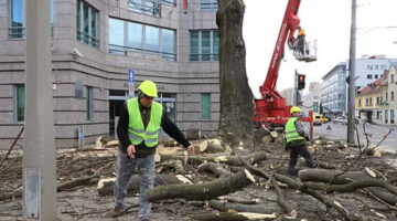 Képernyőkép 2022-02-20 060309