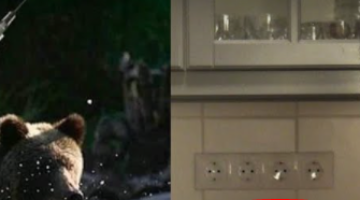 Képernyőkép 2022-03-10 211450