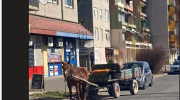 Képernyőkép 2022-03-13 075140