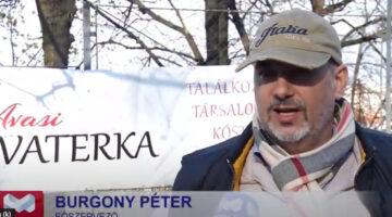 Képernyőkép 2022-04-19 192732