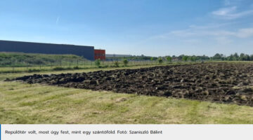 Képernyőkép 2022-06-19 100045
