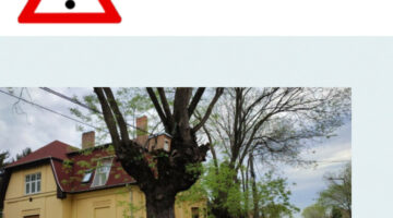 Képernyőkép 2022-06-19 165226