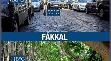 Képernyőkép 2022-06-27 092740