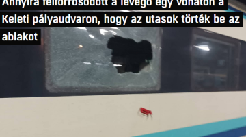 Képernyőkép 2022-07-01 153743
