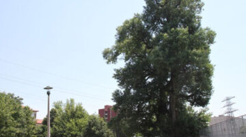 Képernyőkép 2022-07-11 062933
