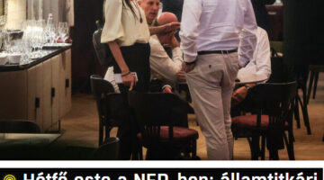 Képernyőkép 2022-07-19 091129