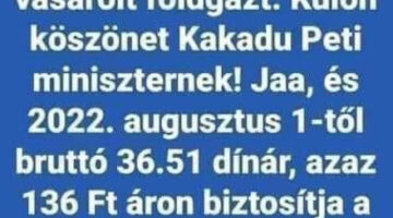 Képernyőkép 2022-11-08 084002
