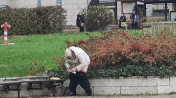 Képernyőkép 2022-11-16 202717
