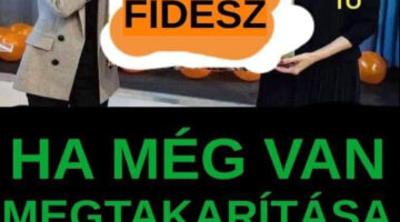 Képernyőkép 2022-12-09 080209