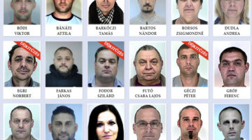 Képernyőkép 2023-02-13 081301