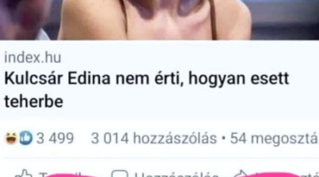 Képernyőkép 2023-02-22 194531