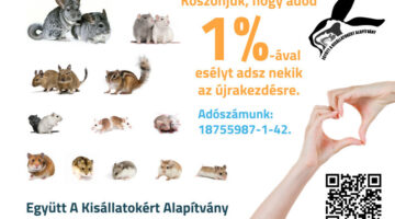 Képernyőkép 2023-02-27 100042