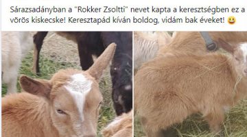 Képernyőkép 2023-04-27 084133