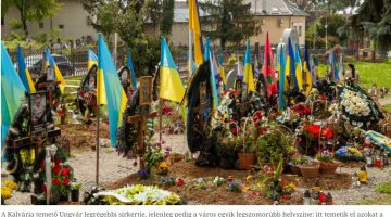Képernyőkép 2023-05-09 054833