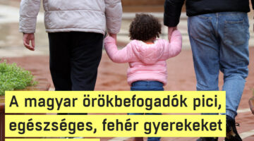Képernyőkép 2023-05-18 200449