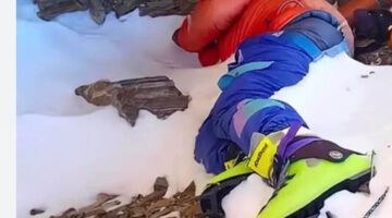 Képernyőkép 2023-05-27 203812