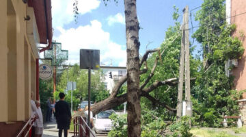 Képernyőkép 2023-06-02 144848