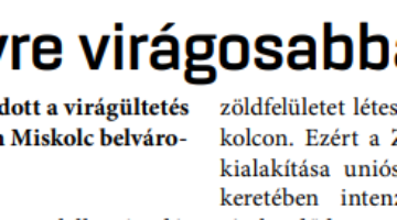 Képernyőkép 2023-06-07 052358