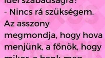 Képernyőkép 2023-06-10 054747