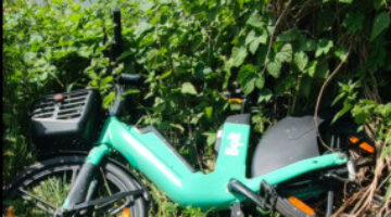 Képernyőkép 2023-06-25 144546