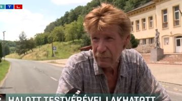 Képernyőkép 2023-06-30 214317