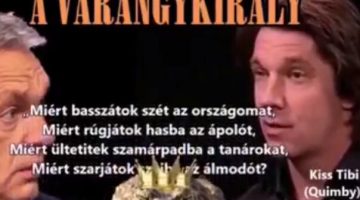 Képernyőkép 2023-07-04 063424