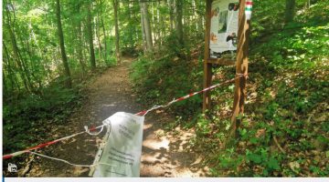 Képernyőkép 2023-07-10 152103