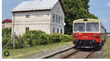 Képernyőkép 2023-07-22 084742