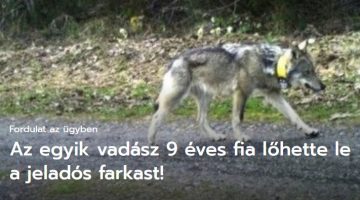 Képernyőkép 2023-08-03 165109