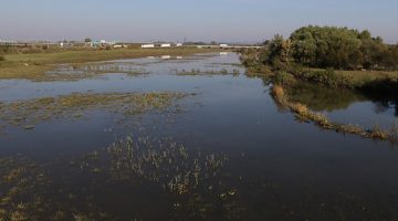 Képernyőkép 2023-08-05 112412