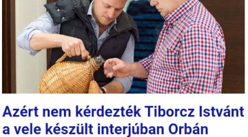 Képernyőkép 2023-08-09 112826