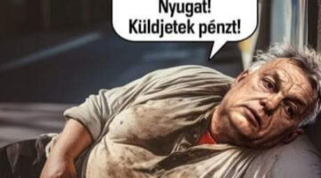 Képernyőkép 2023-09-01 060429