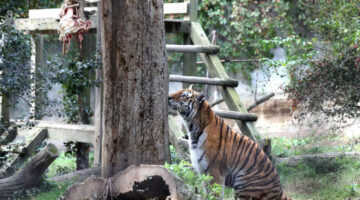 Képernyőkép 2023-10-01 173112