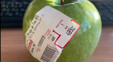 Képernyőkép 2023-10-16 072828