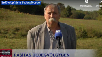 Képernyőkép 2023-10-16 210214