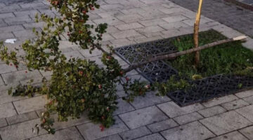 Képernyőkép 2023-10-18 151751