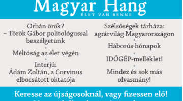 Képernyőkép 2023-10-31 134002