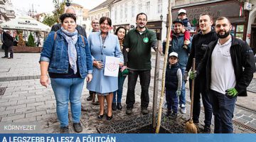 Képernyőkép 2023-11-06 190859