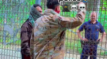 Képernyőkép 2023-11-09 182749