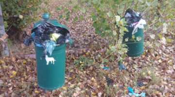 Képernyőkép 2023-11-09 194300