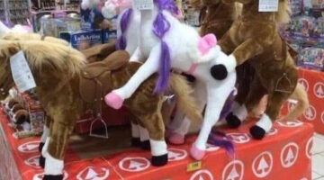 Képernyőkép 2023-11-26 091500