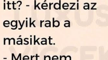 Képernyőkép 2023-11-30 072732