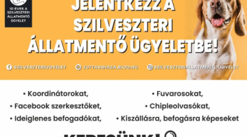 Képernyőkép 2023-12-06 080719