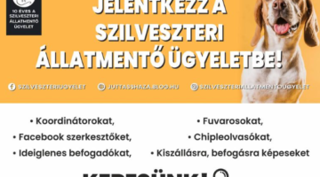 Képernyőkép 2023-12-06 080719